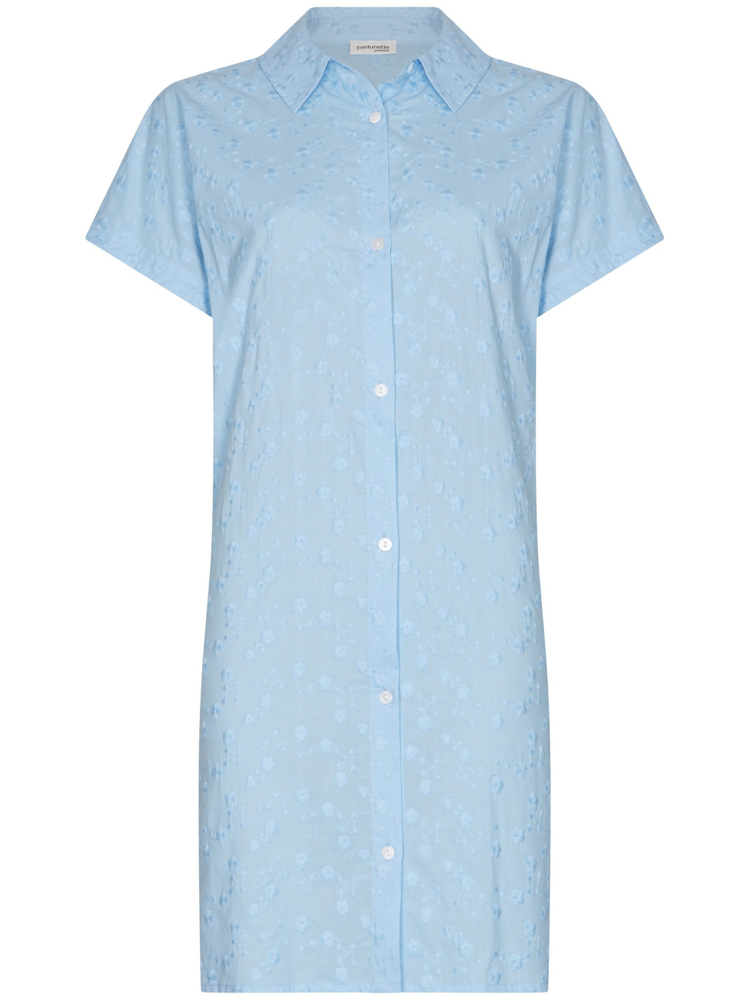 Pastunette Nightgown in Blue: front