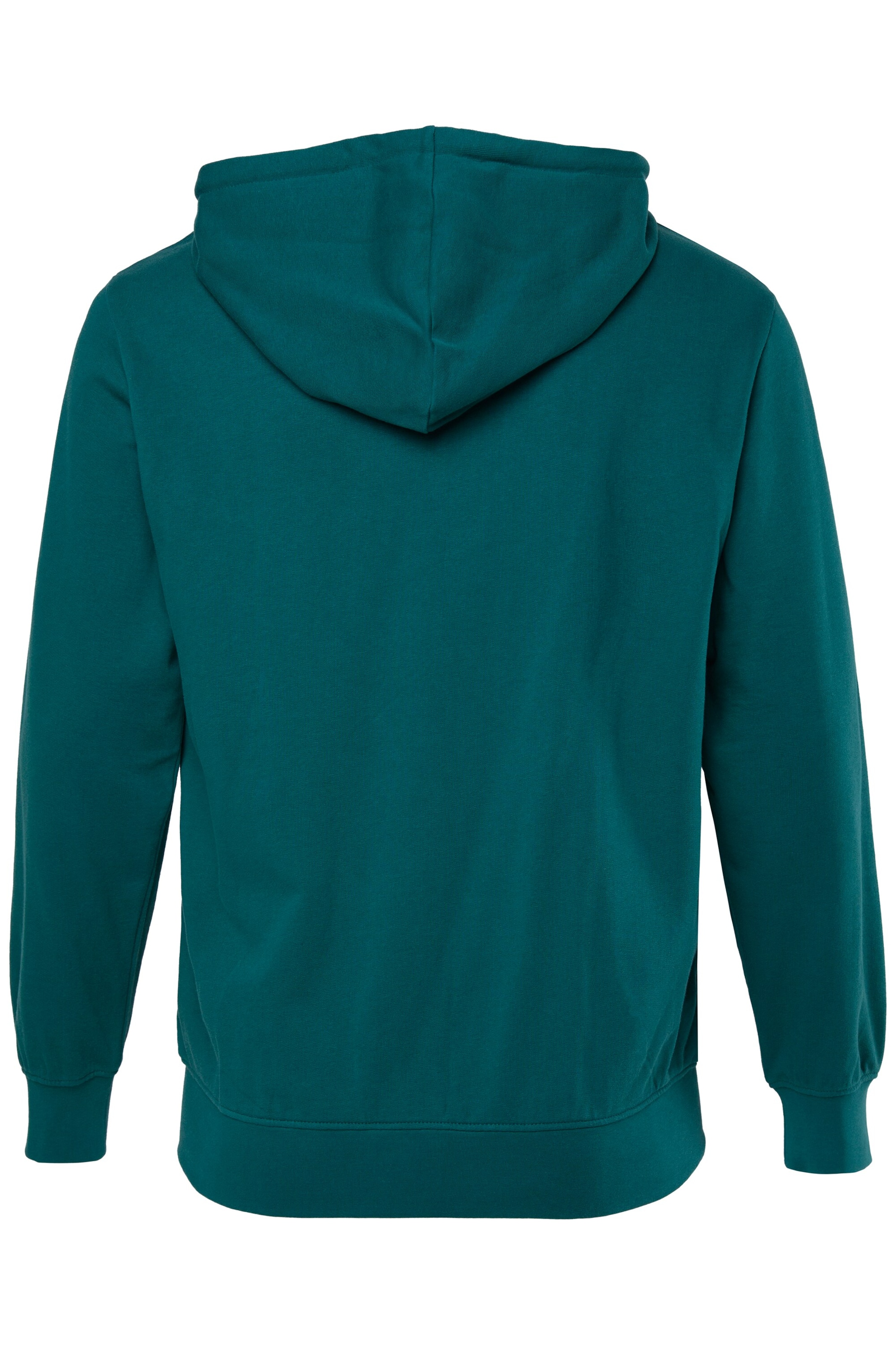 Men Plus Sweatjacke in Grün