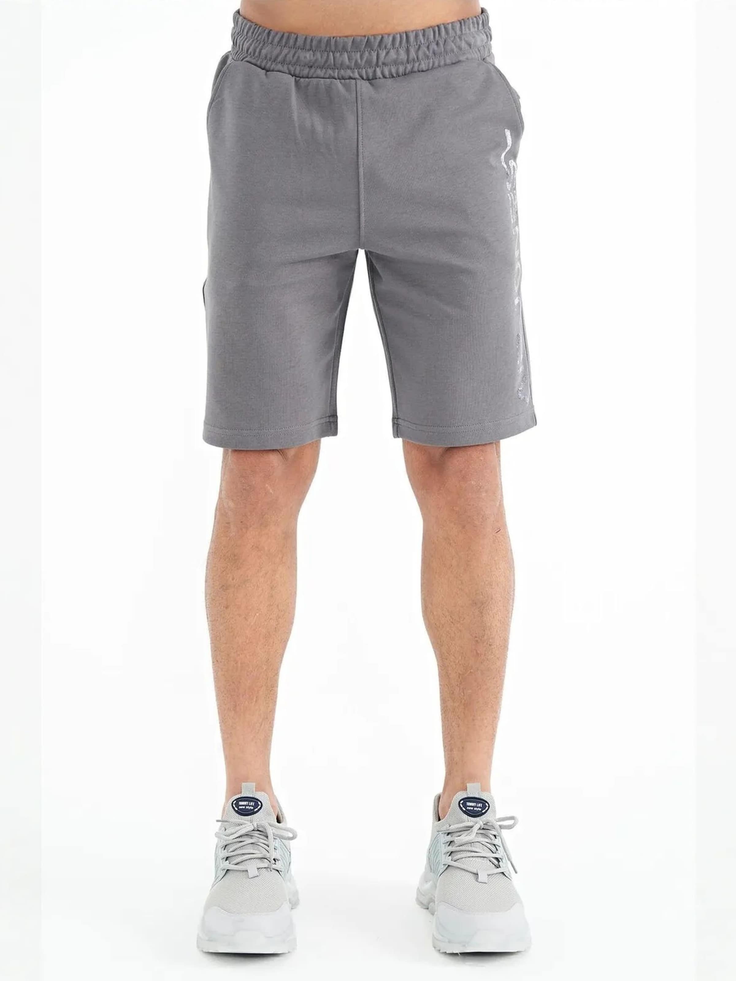 Regular Pantalon Tommy Life en gris : devant