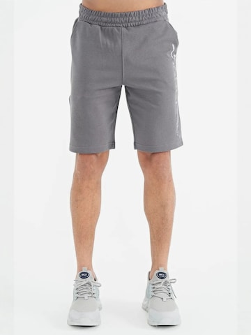 Regular Pantalon Tommy Life en gris : devant