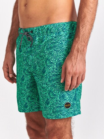 Shorts de bain Shiwi en vert