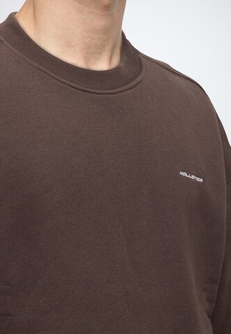 HOLLISTER Sweatshirt in Braun