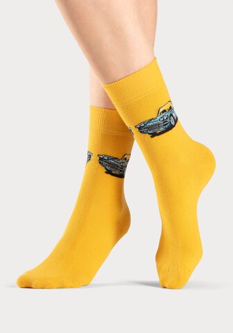 H.I.S Socks in Mixed colors