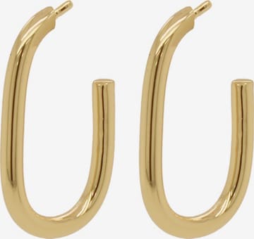 24Kae Earrings in Gold: front