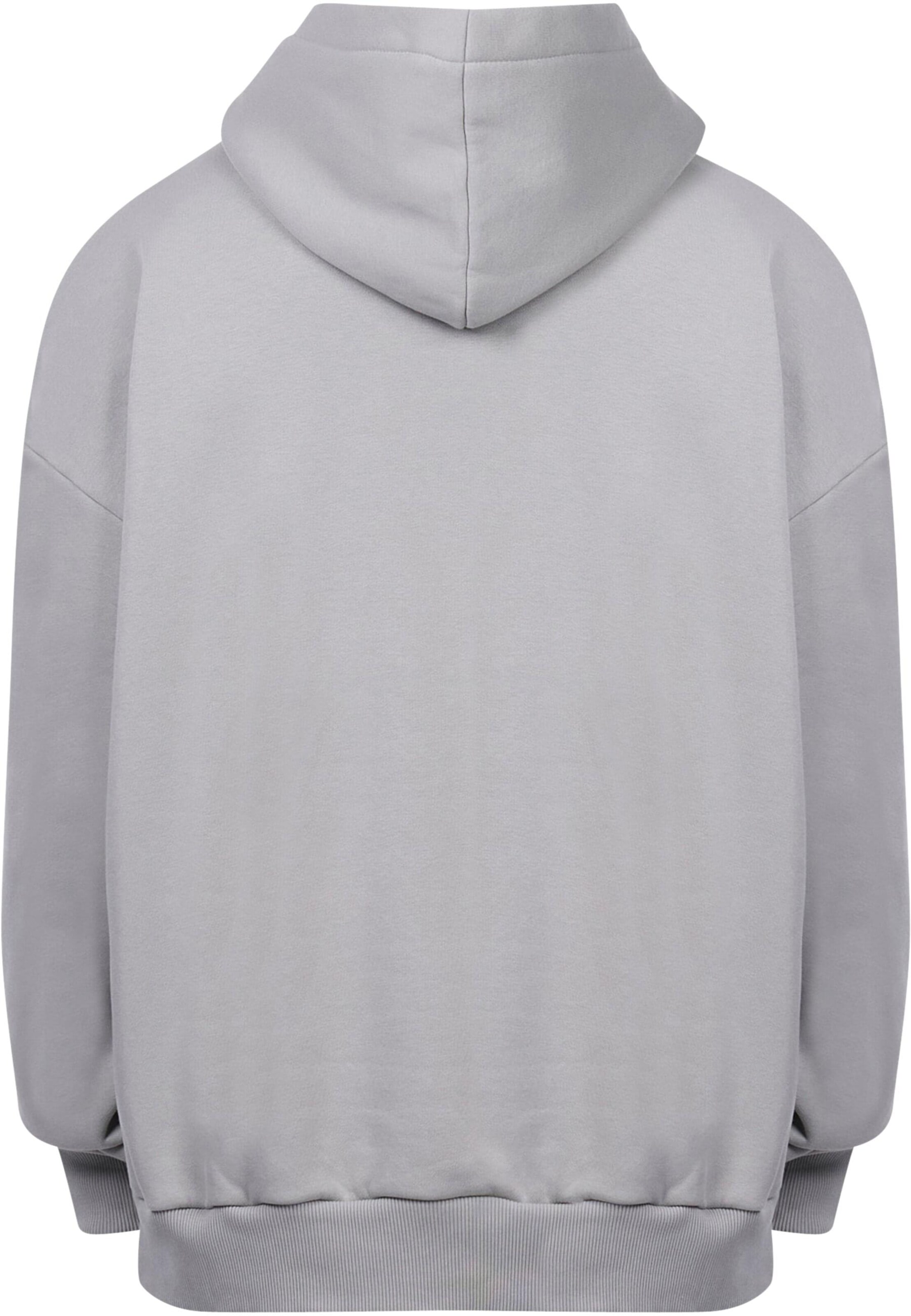 Dropsize Sweatshirt in Grau