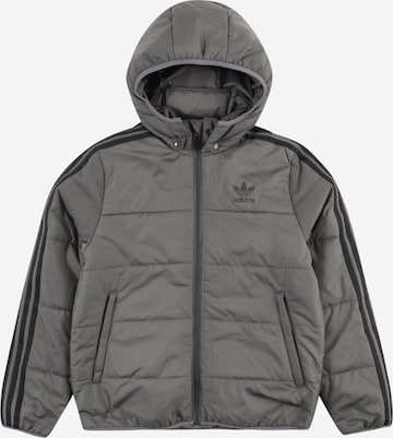 ADIDAS ORIGINALS Zimní bunda 'Adicolor' – šedá: přední strana