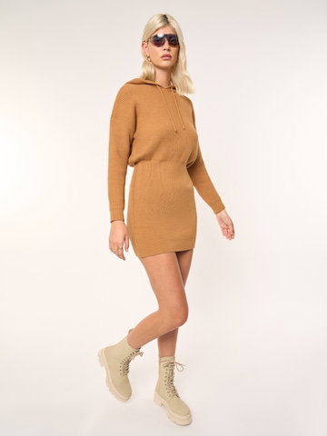 ABOUT YOU x Laura Giurcanu Knitted dress 'Paulina' in Brown