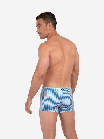 HOM Badeshorts ' Swim Shorts Viareggio ' in Blau