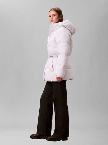 Calvin Klein Jeans Зимняя куртка в Лиловый
