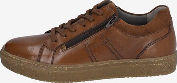 JOSEF SEIBEL Sneakers 'Forrest 03' in Brown: front