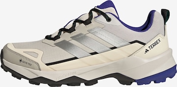 ADIDAS TERREX Lage schoen 'Skychaser AX5' in Beige: voorkant