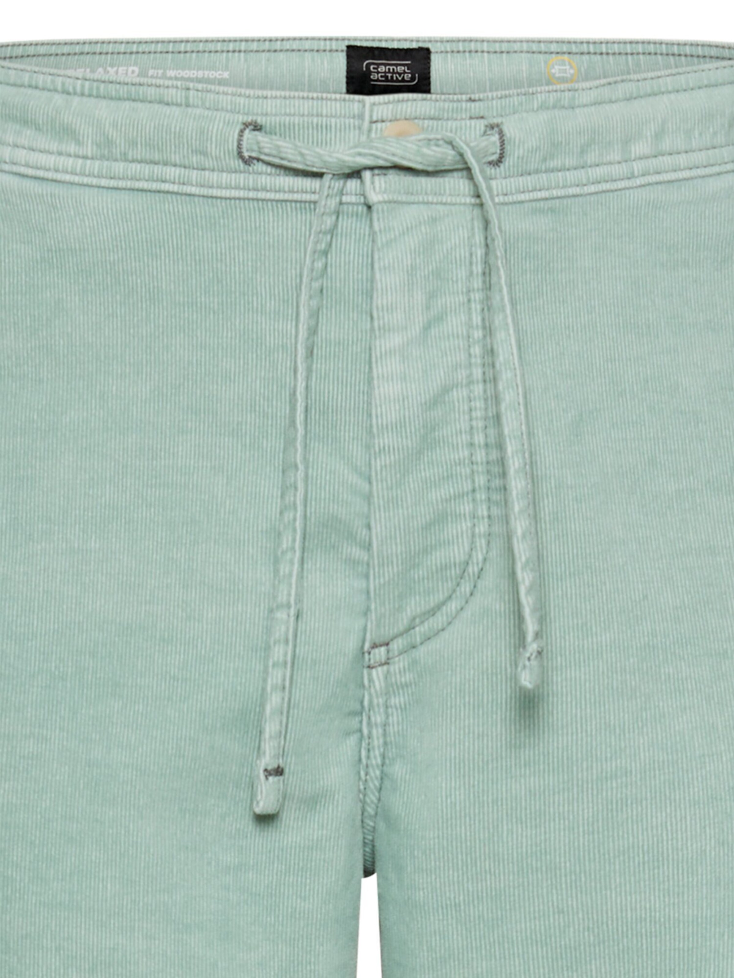 CAMEL ACTIVE Regular Pants in Green
