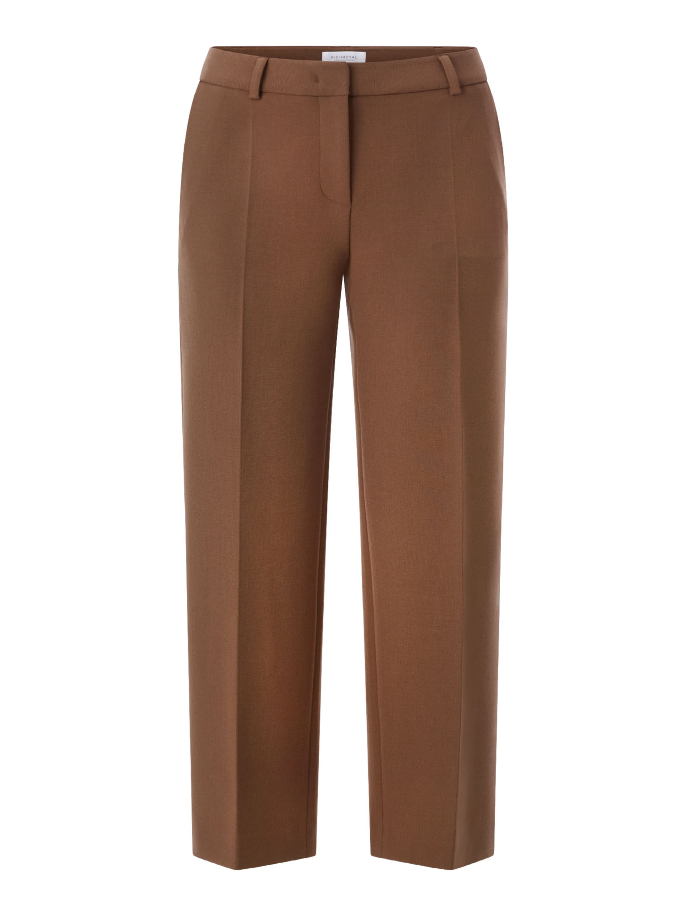 regular Pantaloni con piega frontale di Rich & Royal in marrone: frontale