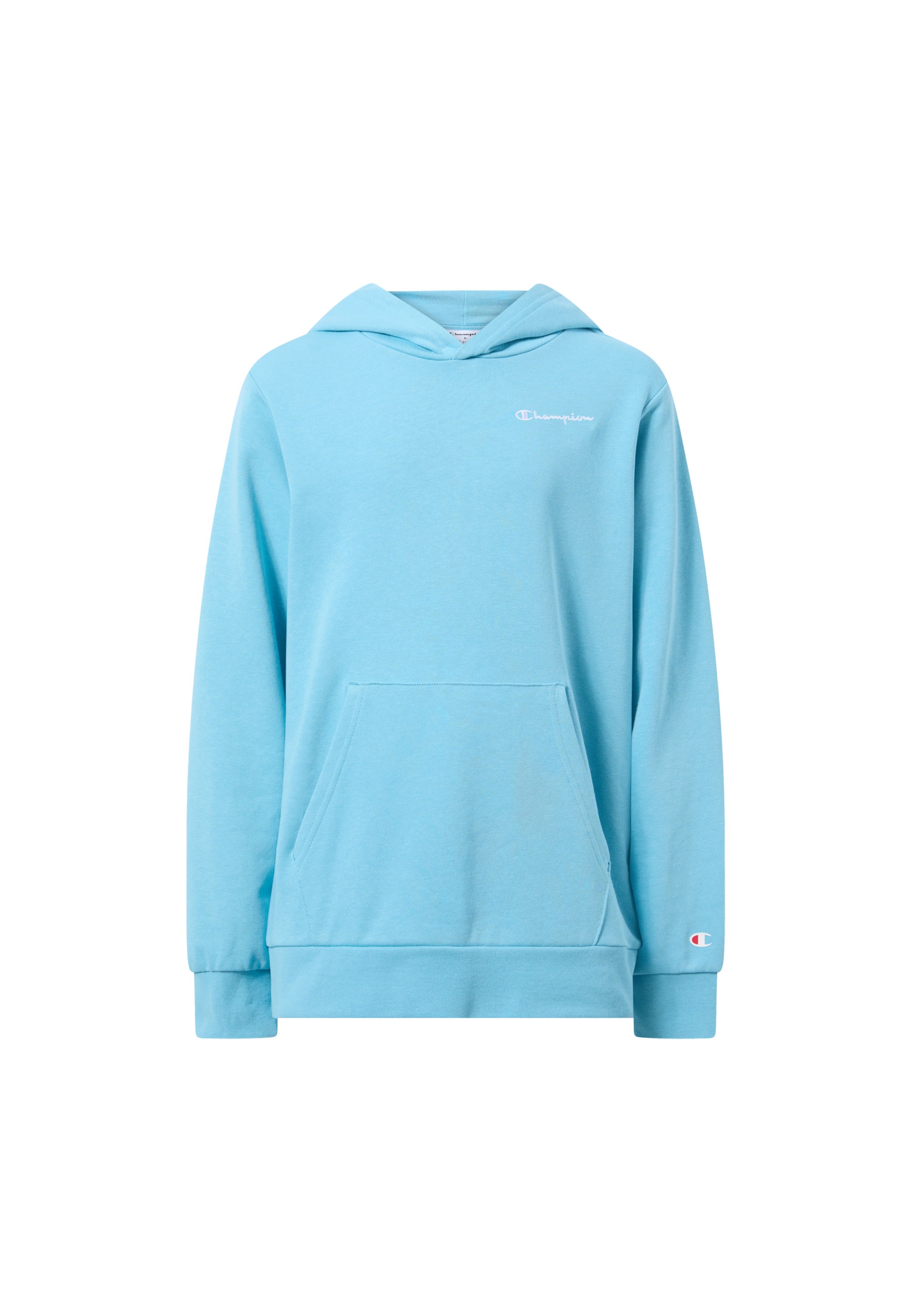Champion Authentic Athletic Apparel Sweatshirt in Blue: front