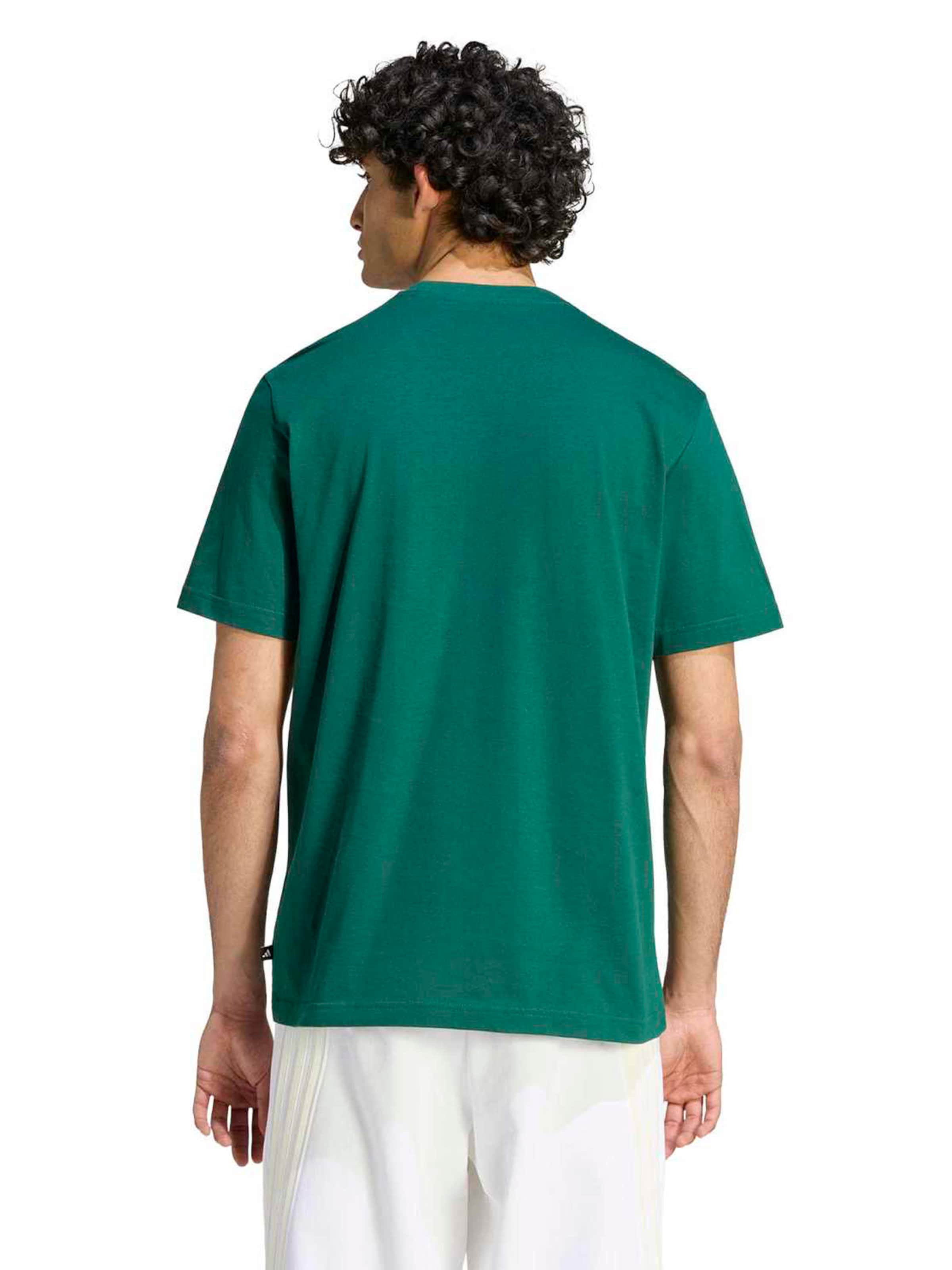 ADIDAS SPORTSWEAR Funkční tričko 'TST DNK' – zelená