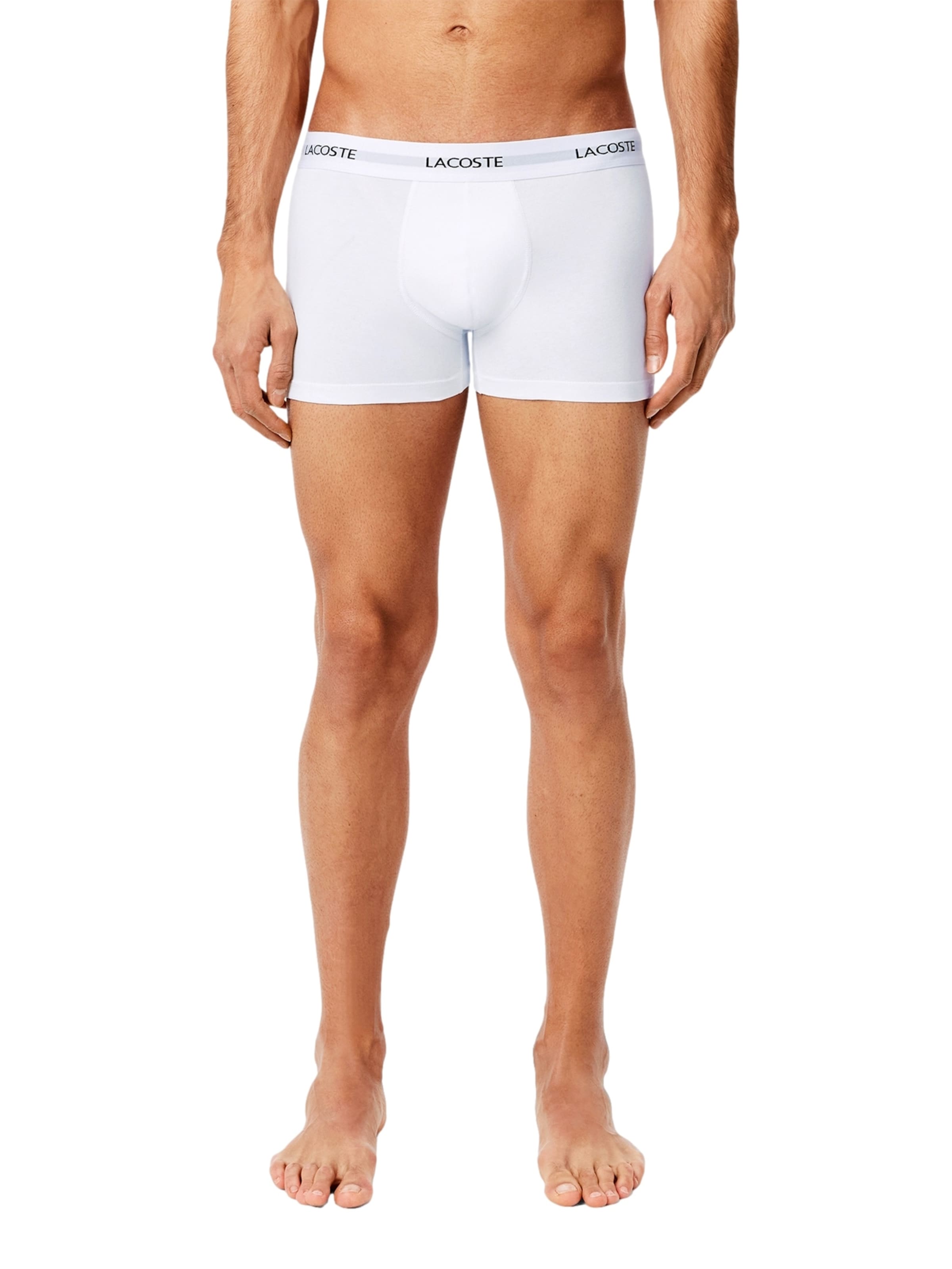 Boxer di LACOSTE in blu: frontale