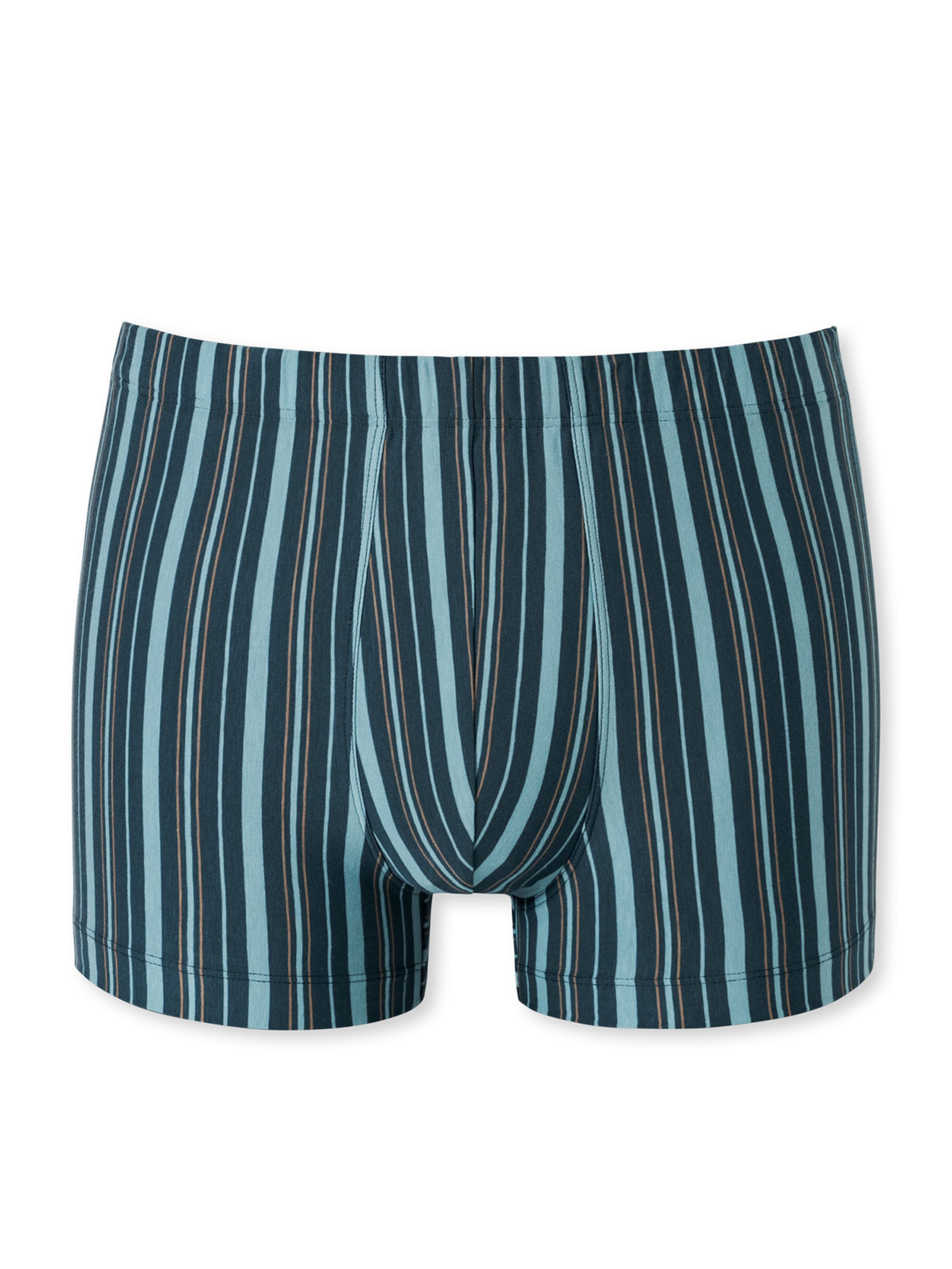 SCHIESSER Boxer shorts ' Essentials ' in Blue: front