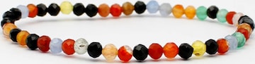 Bracelet Tiger Treasure Qualität, inspiriert seit 1890 en mélange de couleurs : devant