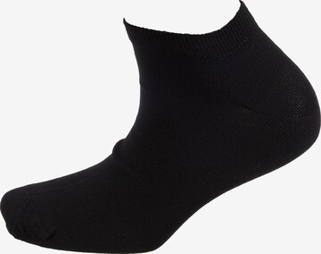TOM TAILOR Socks in Black