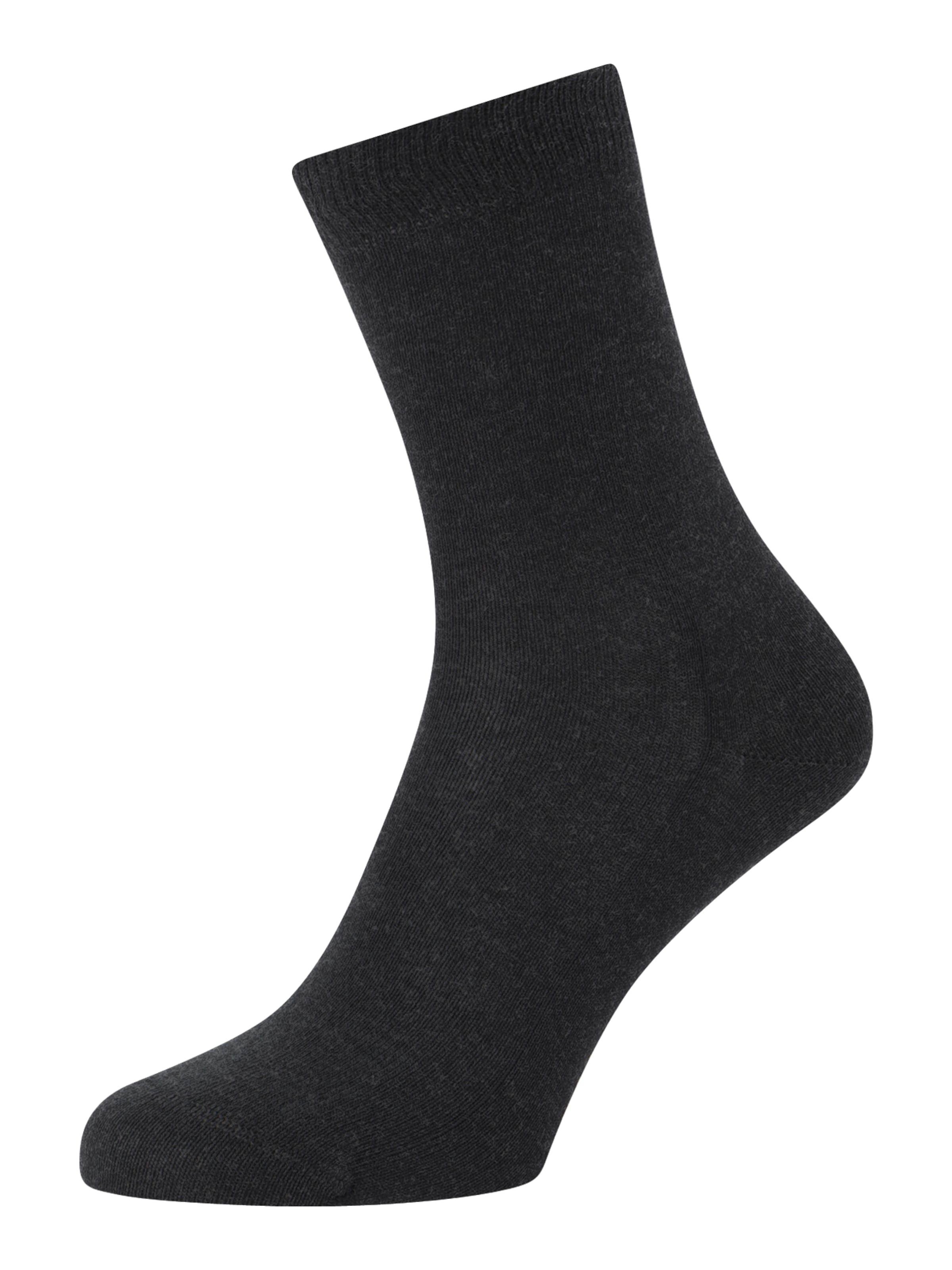 Chaussettes FALKE en gris : devant