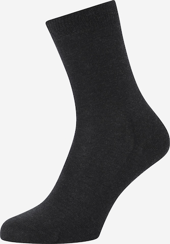 Chaussettes FALKE en gris : devant