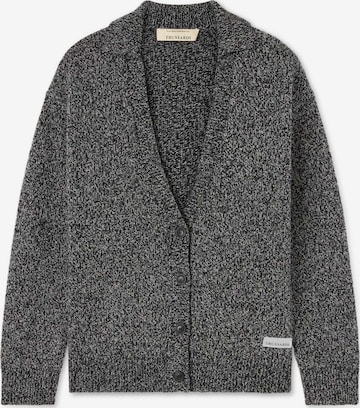 Giacchetta di Trussardi in grigio: frontale
