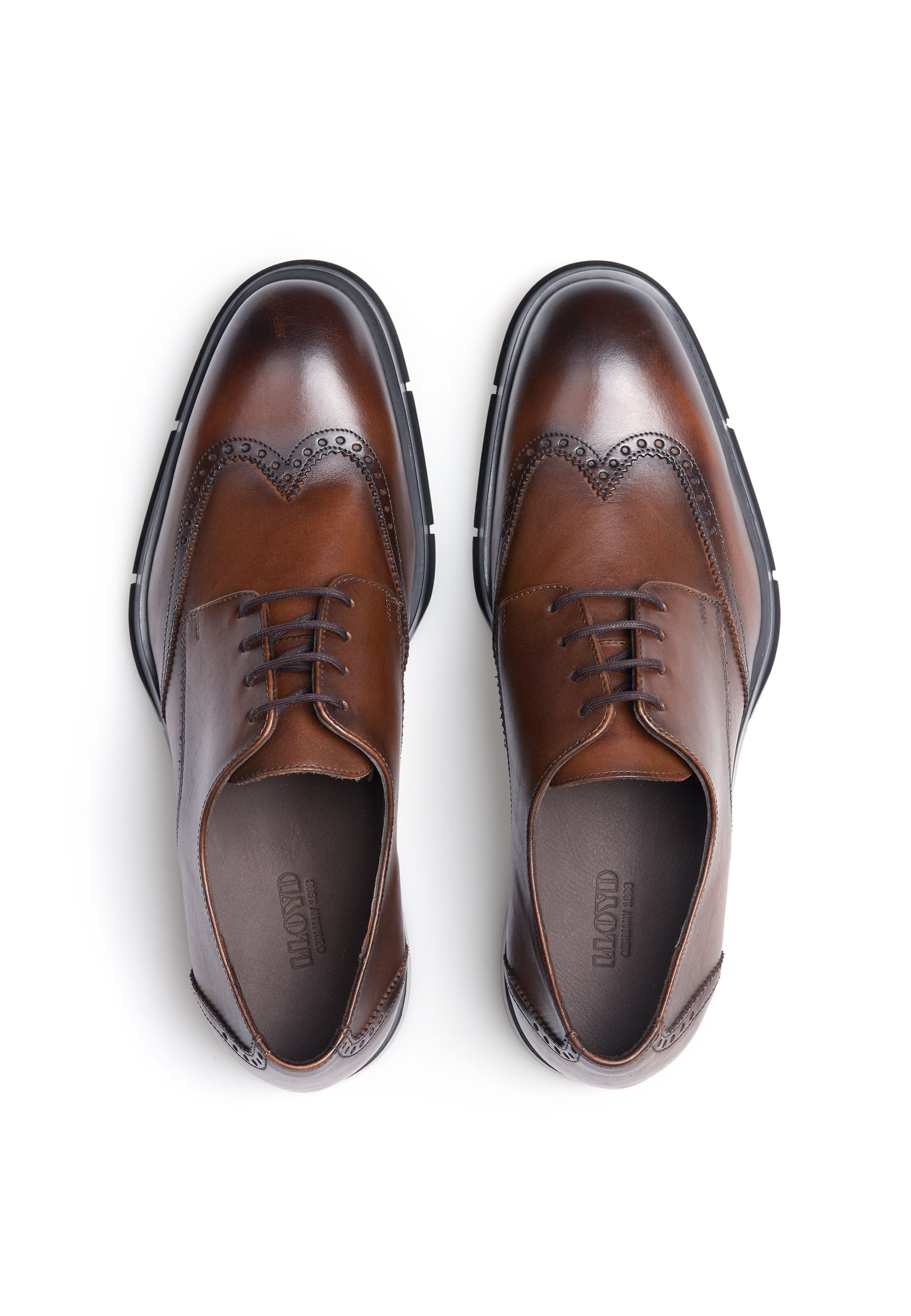 LLOYD Veterschoen in Bruin