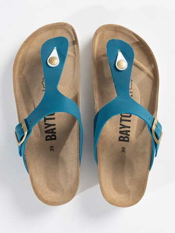 Bayton Japonke 'MERCURE' | modra barva