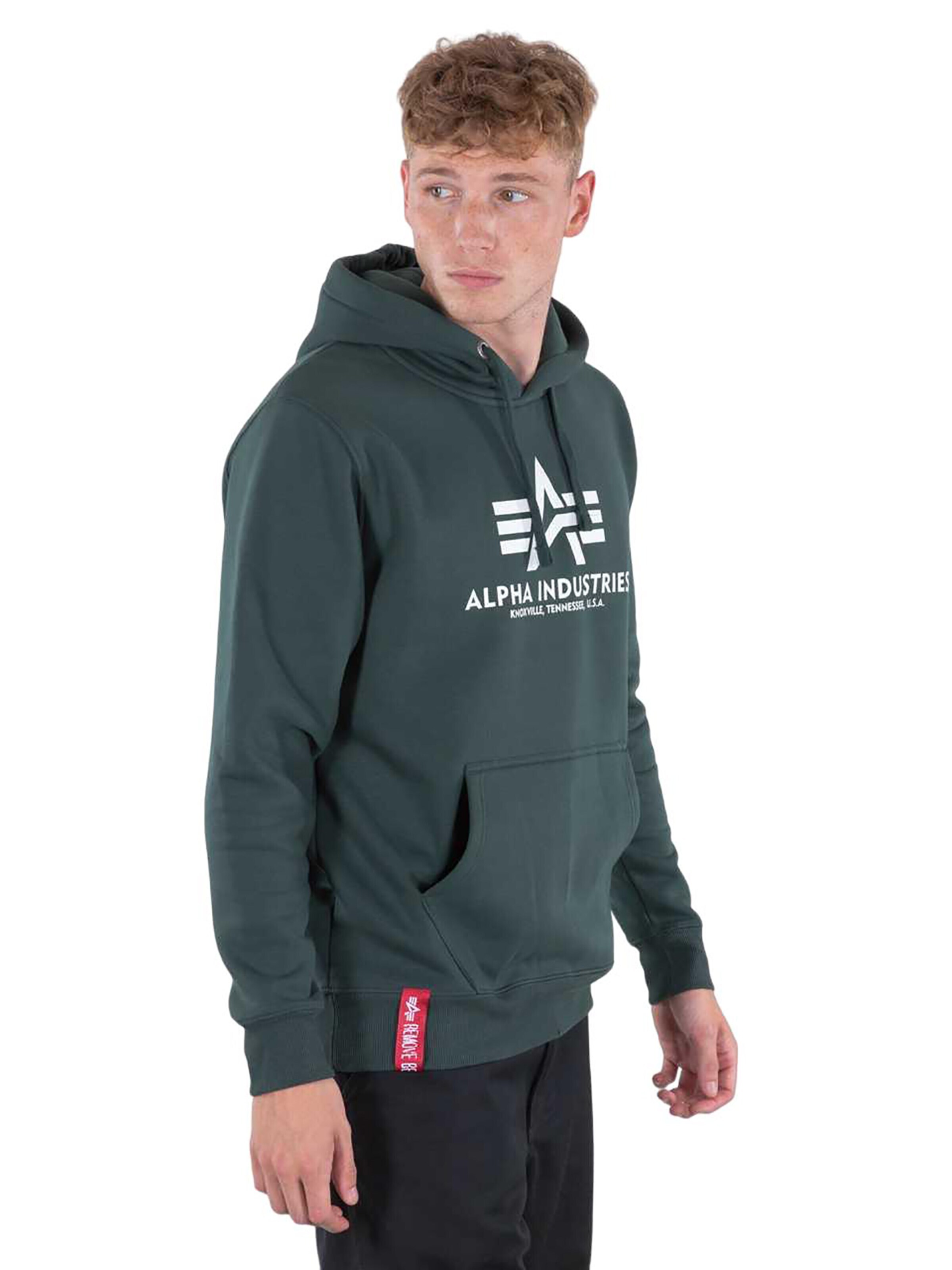 ALPHA INDUSTRIES Sweatshirt 'Basic' in Green