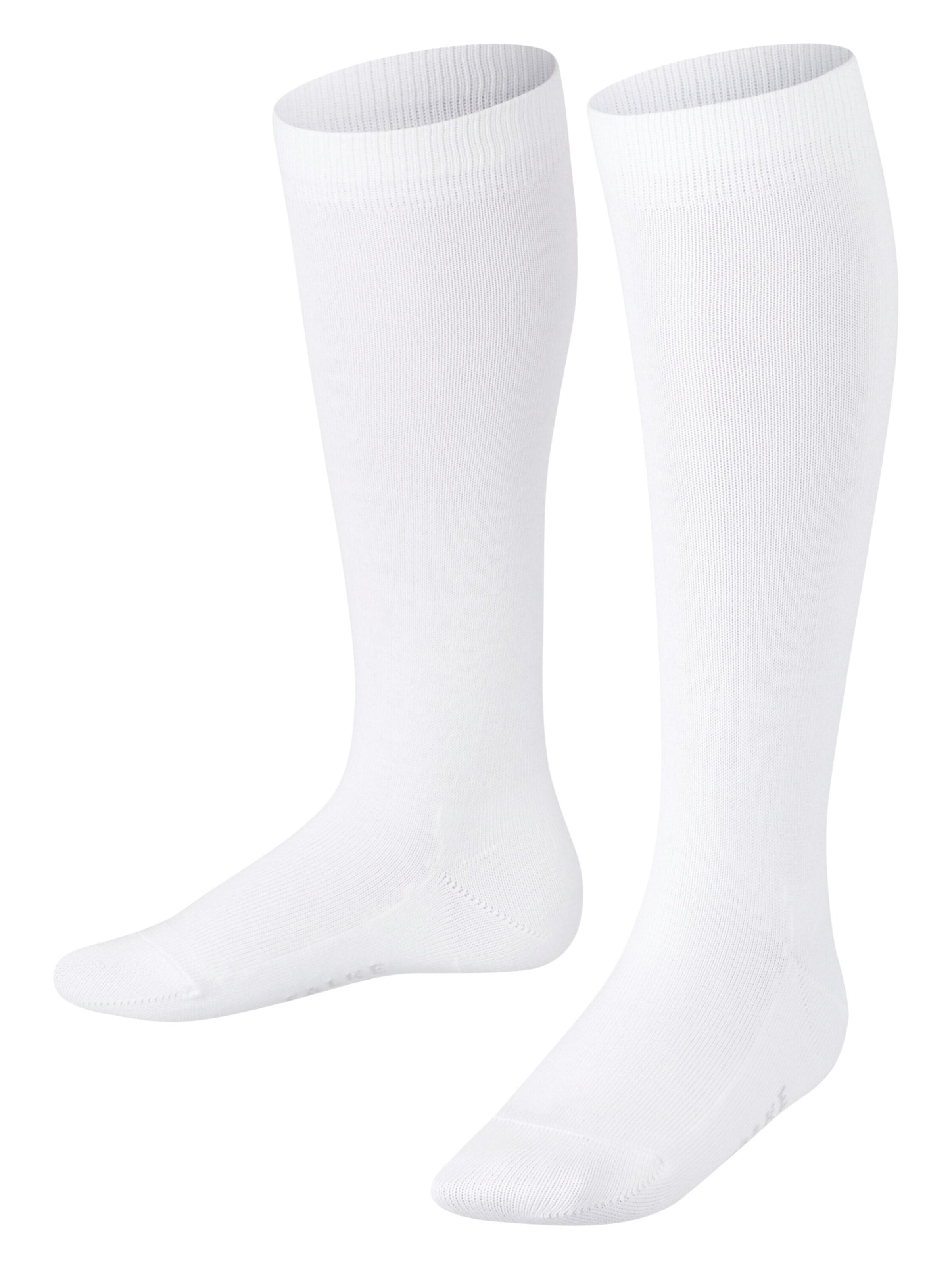 FALKE Socks 'Family' in White: front