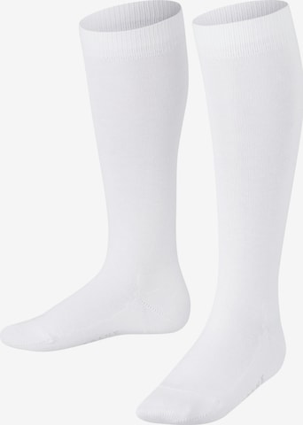 FALKE Socks 'Family' in White: front