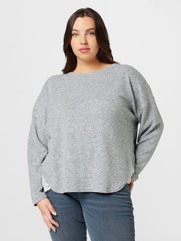 Dorothy Perkins Curve Sweater in Grey: front