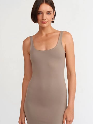 Dilvin Midi Kleid in Grau