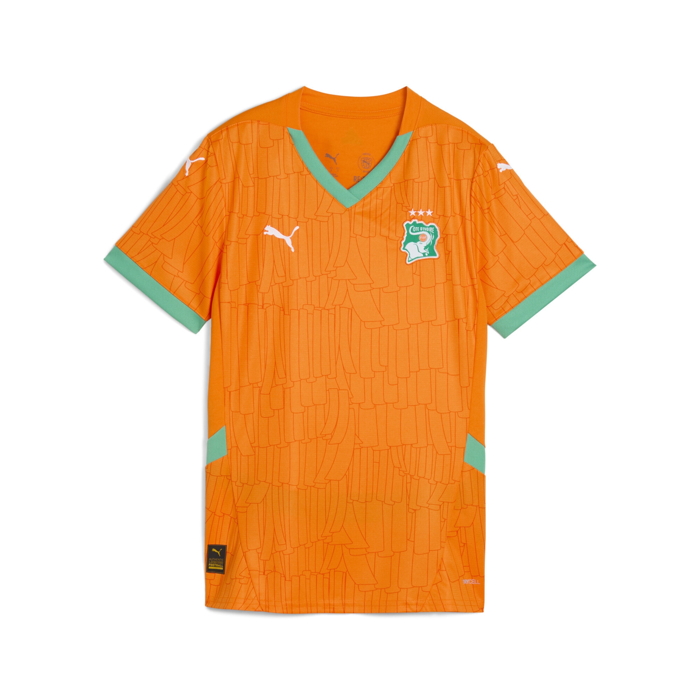 PUMA Tricot 'Elfenbeinküste 2025 Heimtrikot' in Oranje: voorkant