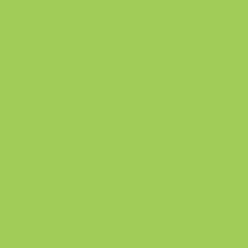 MY HOME Bed Sheet in Green