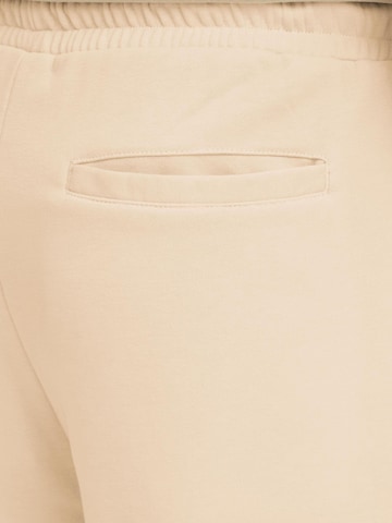 BLEND - regular Pantalón cargo ' BHKarlos Sweat Cargo ' en beige