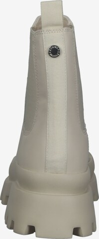 STEVE MADDEN Chelsea boots in Beige