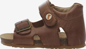 Falcotto Open shoes 'BEA' in Brown: front