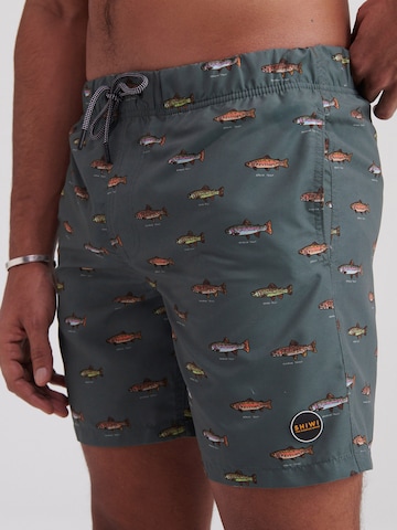 Shorts de bain 'Go Fish' Shiwi en vert