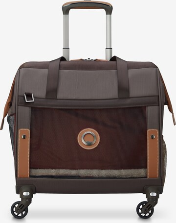 Delsey Paris Travel Bag in Brown: front