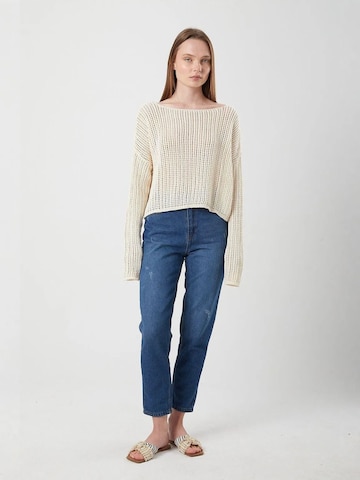 Pullover di MixRay in beige