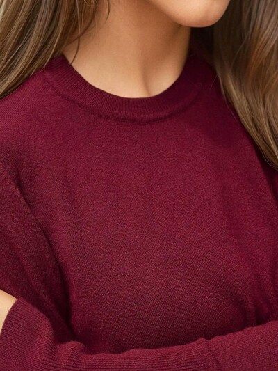 Pullover Hiccup di colore borgogna, Visualizzazione prodotti