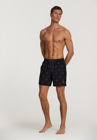 Shiwi Board Shorts 'chili pepper 4-way stretch' in Schwarz