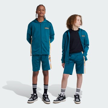ADIDAS ORIGINALS Regular Broek in Blauw