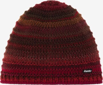 Eisbär Beanie 'Mikata' in Mixed colors: front