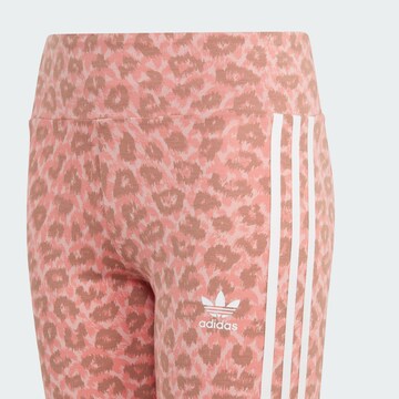 Skinny Leggings 'Animal Allover Print High Waist' di ADIDAS ORIGINALS in rosa