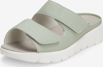 VITAFORM Muiltjes in Groen: voorkant