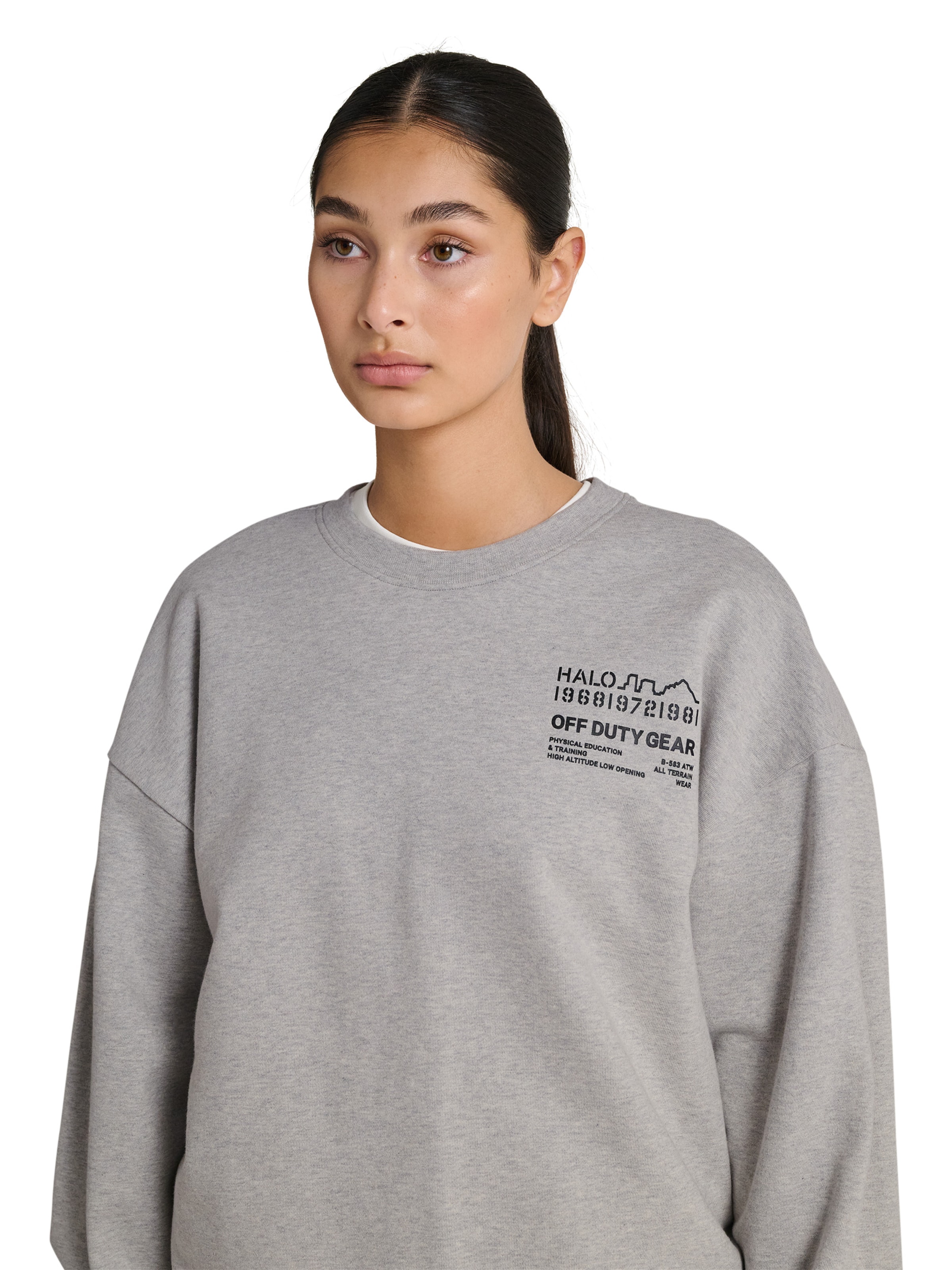 HALO Sweatshirt in Grau