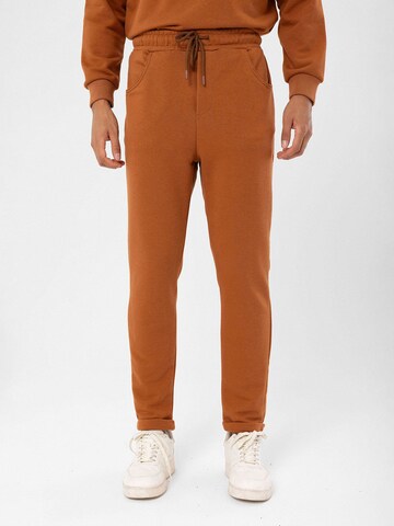 Antioch Regular Trousers in Brown: front