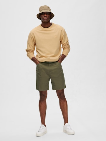 SELECTED HOMME - Regular Calças chino 'CARLTON' em verde